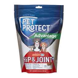 Synovi G4 Joint Health Soft Chews for Dogs Elanco Animal Health